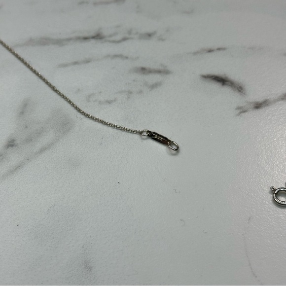 Tiffany & Co x Paloma Picasso Capricorn Necklace Pendant Combo - Picture 5 of 13